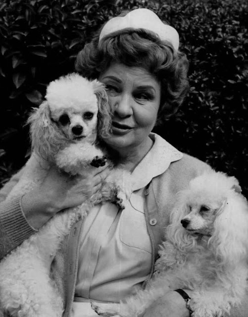 Shirley Booth Hazel3