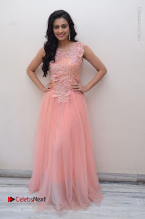 Actress Neha Hinge Stills in Pink Long Dress at Srivalli Teaser Launch  0150.JPG
