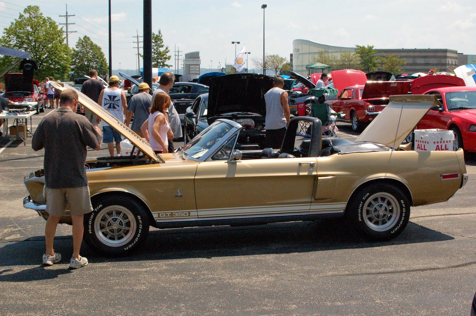 Mustang And Me