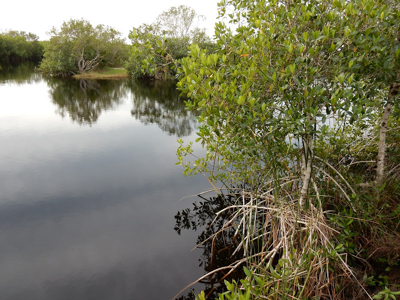 Everglades National Park, Florida, US, Miami,  elisaorigami, travel, blogger, voyages, lifestyle