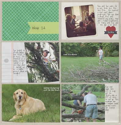 June3