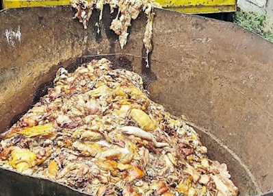 USING ANIMAL WASTE FOR GHEE USING ANIMAL WASTE IN GHEE IN HYD ANIMAL WASTE GHEE CONTROVERSY ADULTERATED GHEE CONTROVERSY MAKING GHEE WITH ANIMAL WASTE