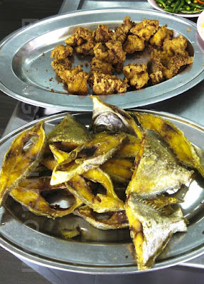 Makan Sotong Kembang Sambal Di Nasi Lan Kedah Shah Alam 