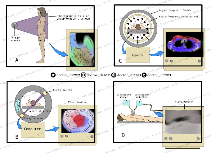 Diagnostic Studies - Medical Imaging of the Human Body By Microbiology Doctor dr (Doctor_dr)