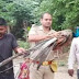 Ghazipur News: नाचने के लिए मोर ने फैलाए पंख तो आवारा कुत्ते ने कर दिया हमला