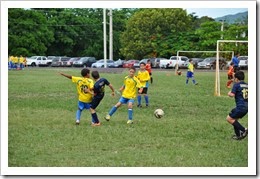 DSC_4004 (800x531)