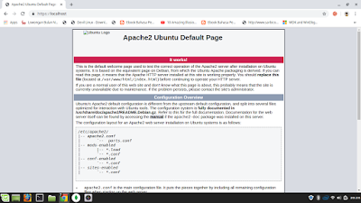 setelah instalasi nginx