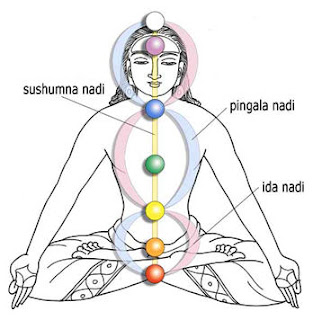 Kundalini Shakti Serpentine Power