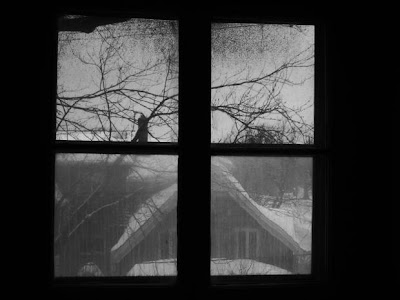 looking out an old window in winter