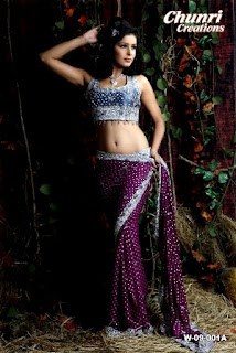 Full-Embroidered-Saree
