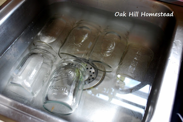 Canning jars in a sink full of warm water