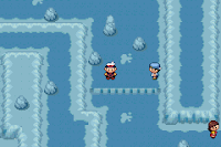 Pokemon Flora Sky ScreenShot 12