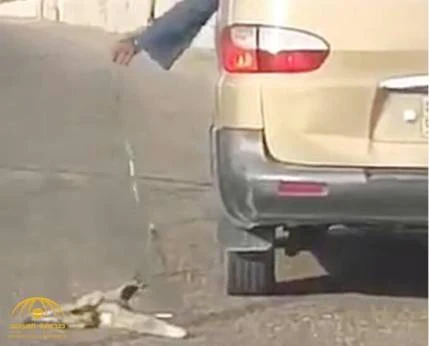 HEAVY FINE ON DRIVER FOR DRAGGING FOX AND ABUSING ANIMAL