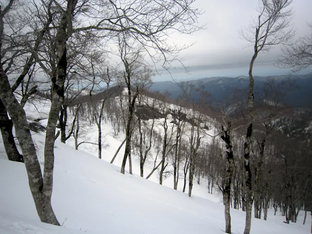 残雪の崩れ