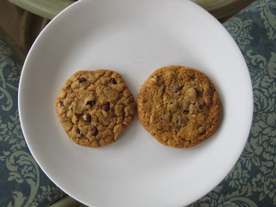 ATK Thick and Chewy Chocolate Chip Cookie versus Nestle Tollhouse frozen dough