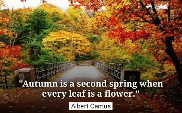 Autumn is a second spring when every leaf is a flower. Albert Camus quotes