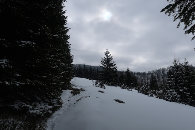 Lúka na okraji lesa v zime cestou na Veľkú lúku z Kuneradu.