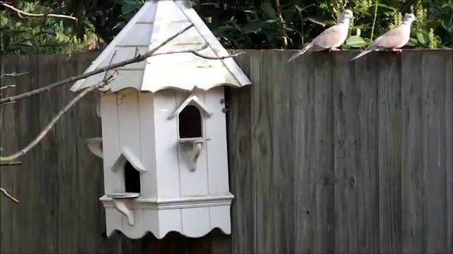 Birdhouse For Doves