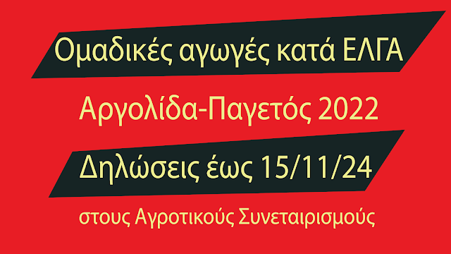 Δ.Ε.Σ. Αργολίδας