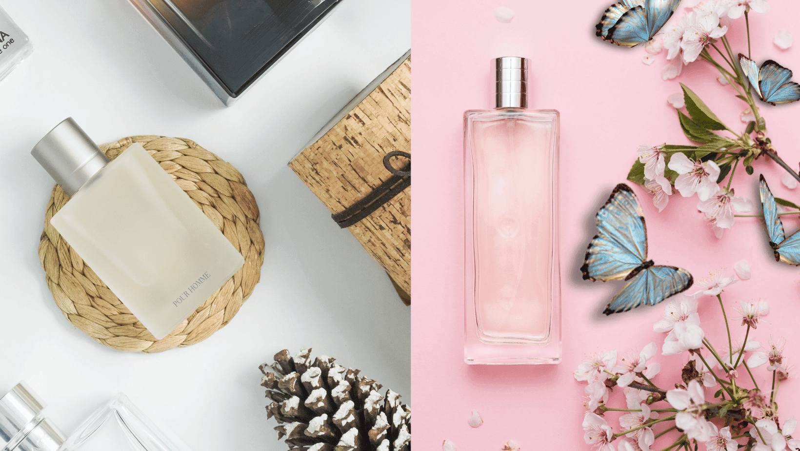 how-to-transition-your-fragrance-collection-from-season-to-season-barbies-beauty-bits
