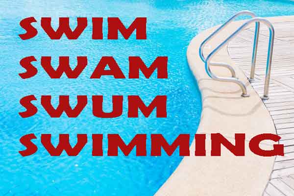 swim-swam-swum-swimming