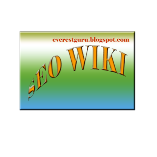 SEO Wiki-1