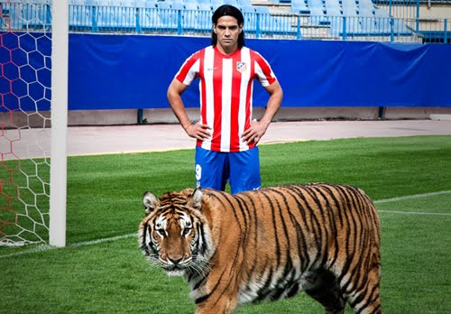 el tigre Falcao