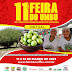 11ª Feira do Umbu do Território Piemonte Norte do Itapicuru terá sistema de delivery para garantir a comercialização