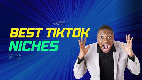 6 Best TikTok Videos Niches You Should Work On