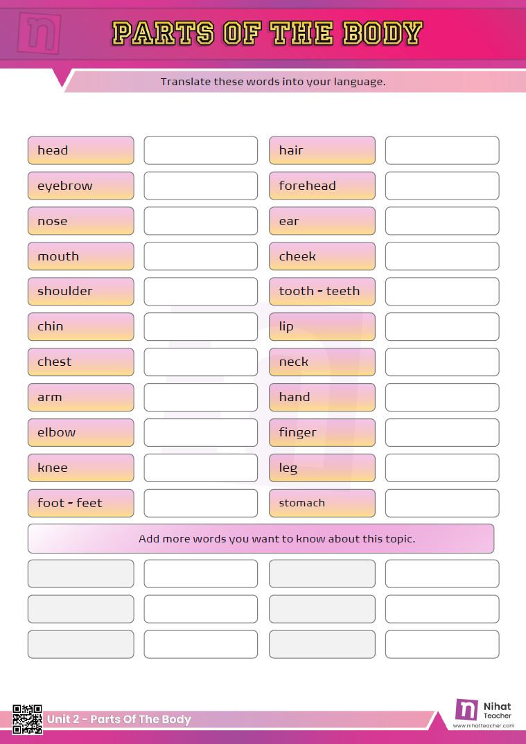Body parts in English worksheet