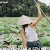 Ninh bình mùa sen nở