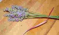 Make a Lavender Wand 2