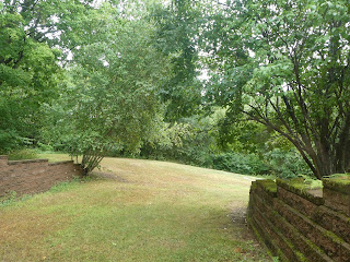 Landscape - 2 retaining walls one on each side, Birch tree to left, ferns, maple trees, lilac bushes to right along ledge