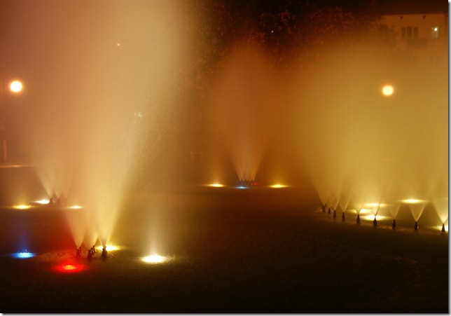 DSC07672_1