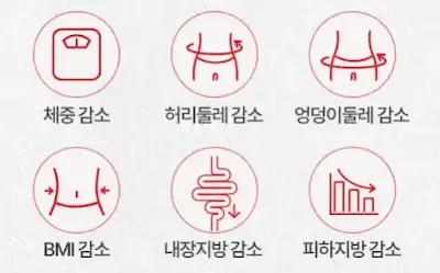 다이너티-효과