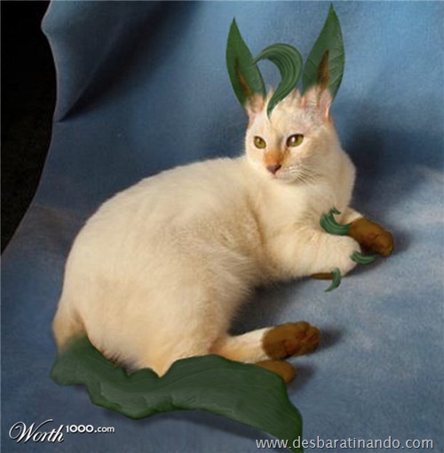 real pokemon (10)