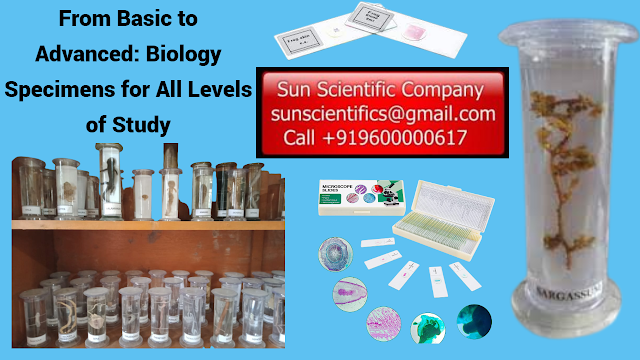 Sun Scientific Company, a leading supplier of biological specimens and microscopic slides in CHENNAI. We offer high-quality educational and research supplies for institutions and enthusiasts throughout Tamil Nadu, Kerala, and Andhra Pradesh.