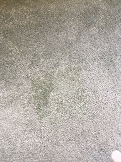 carpet repair cambridge