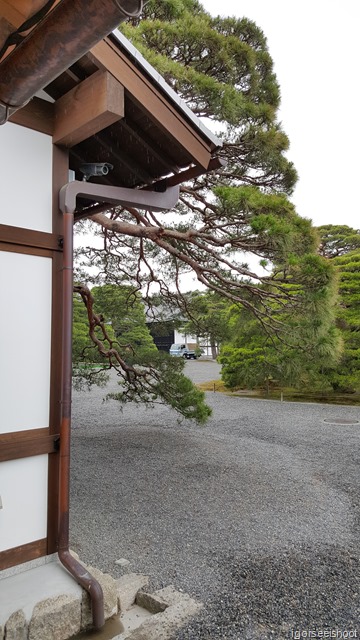 Kyoto Imperial Palace tour