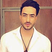 Aly-Goni-Romesh-Omprakash-Bhalla-Romi-Yeh-Hai-Mohabbatein-Salaries-and-Real-Names-2017 