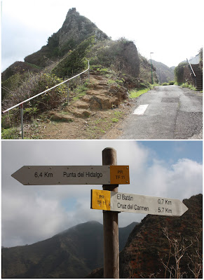 PR-TF-11 LA PUNTA DEL HIDALGO A LA CRUZ DEL CARMEN, camino de Bejía en direcció a El Batán