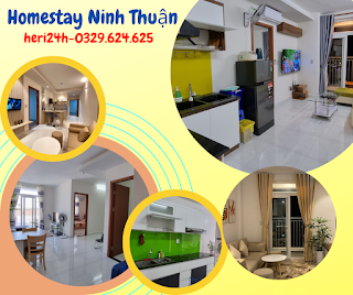 cho thue chung cu ninh thuan