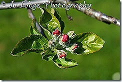 IMG_0692