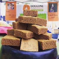 dog brownies