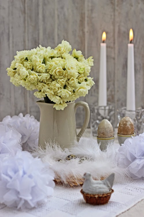 Narcissus 'Erlicheer'
