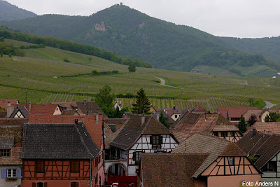 hunawihr, vinodling, vineyard, vignoble, weinberg, rebberg, weingarten, wingert, wengert, viña, alsace, elsass, france, frankreich, frankrike