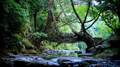 Shillong Meghalaya Package Tour