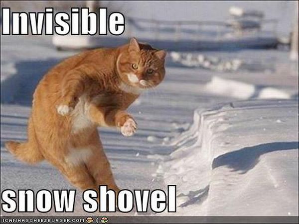 LOLcats - invisible object