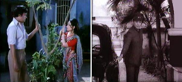 Old Bengali Movies TorrentHealthy filesBitTorrent 