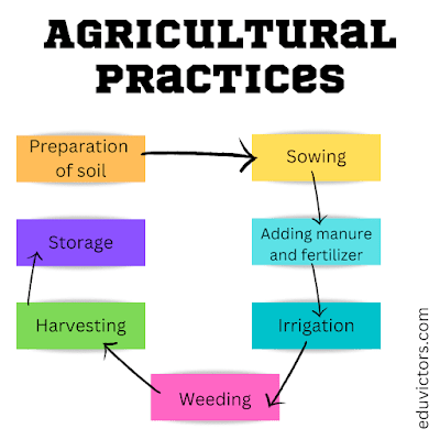 Class 8 Science - Agriculture Practices #eduvictors #class8Science #CropProduction